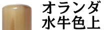 オランダ水牛色上